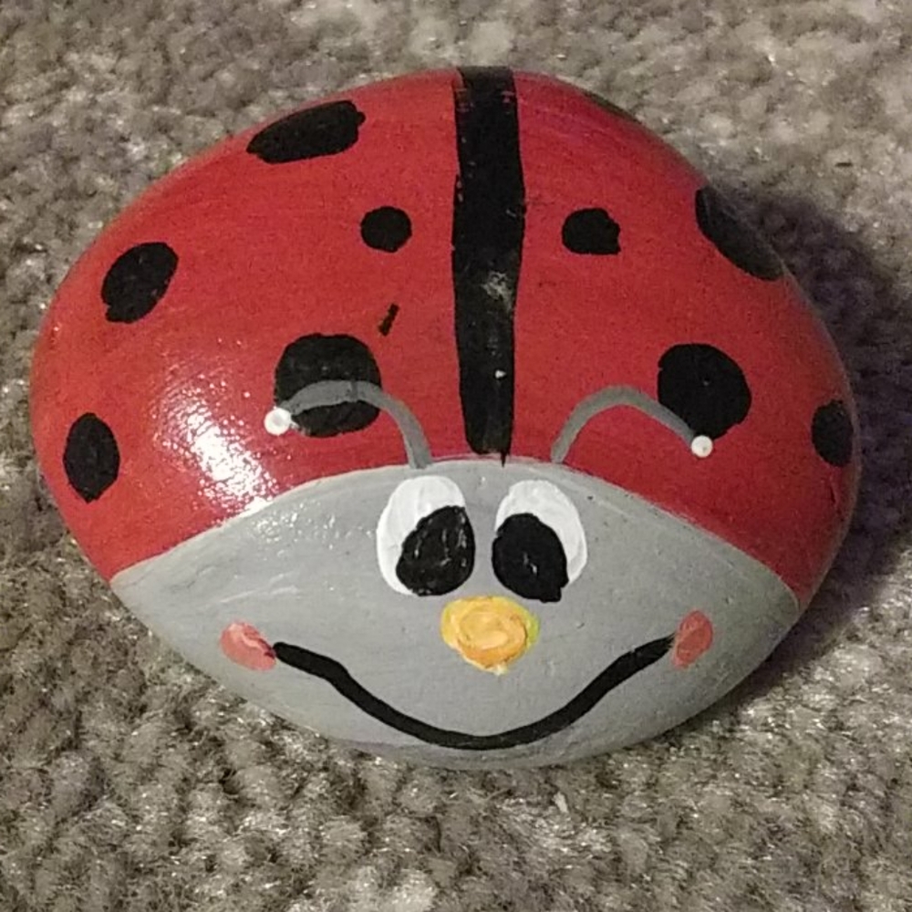 Hand painted rock.